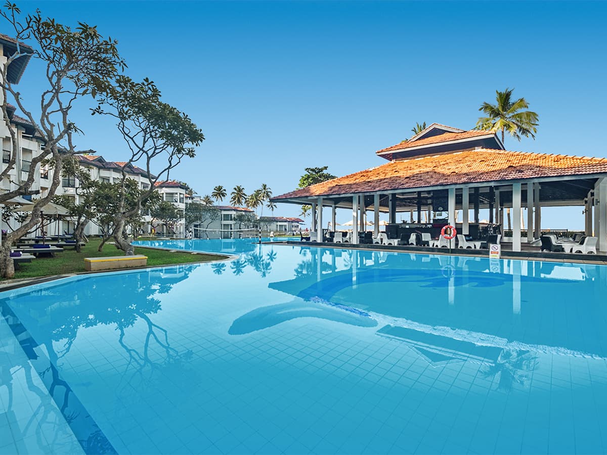 Club Dolphin