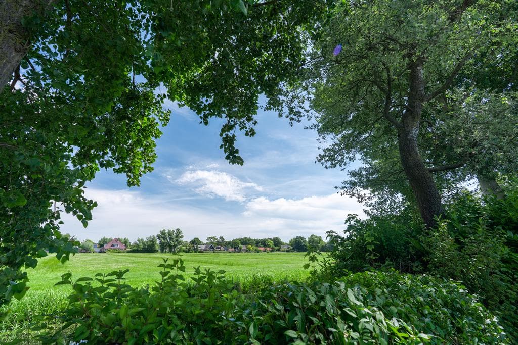 EuroParcs Koningshof