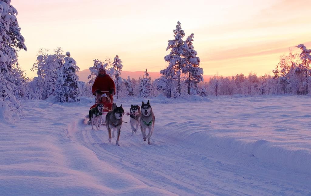 8 daagse excursiereis Lapland hotel Saaga
