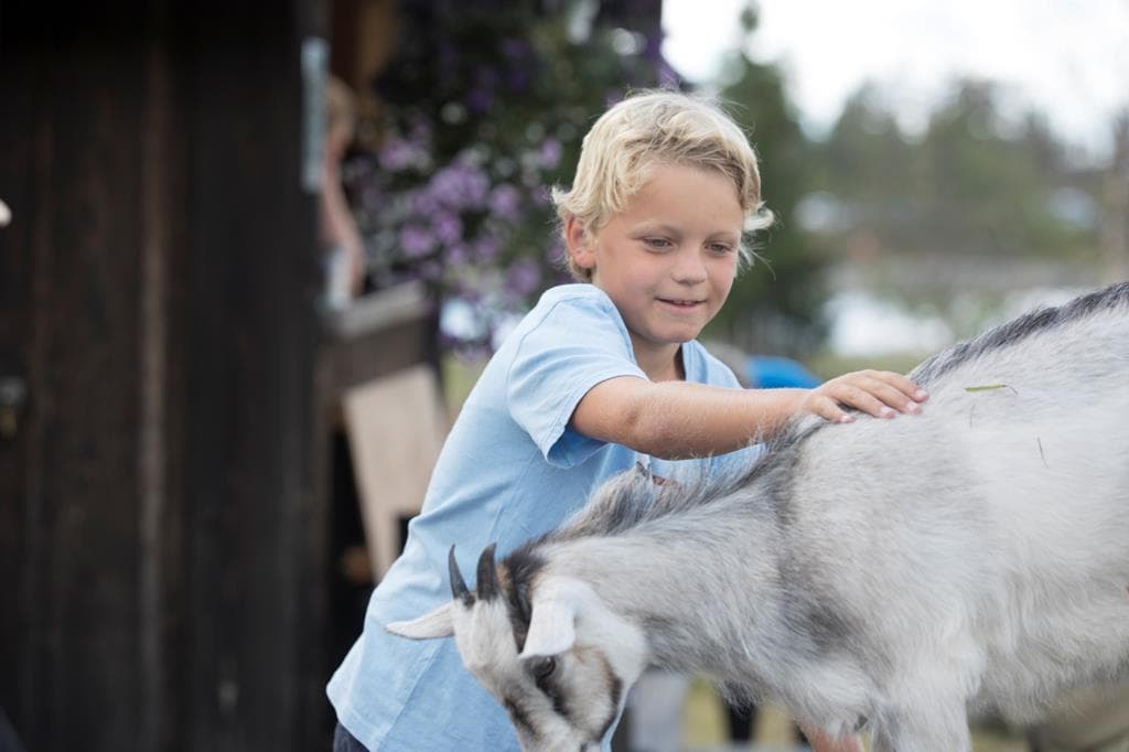 Norefjell Ski & Spa 4