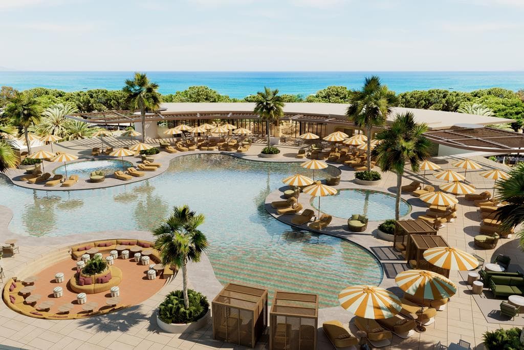 Nalu Latchi Leonardo Limited Edition