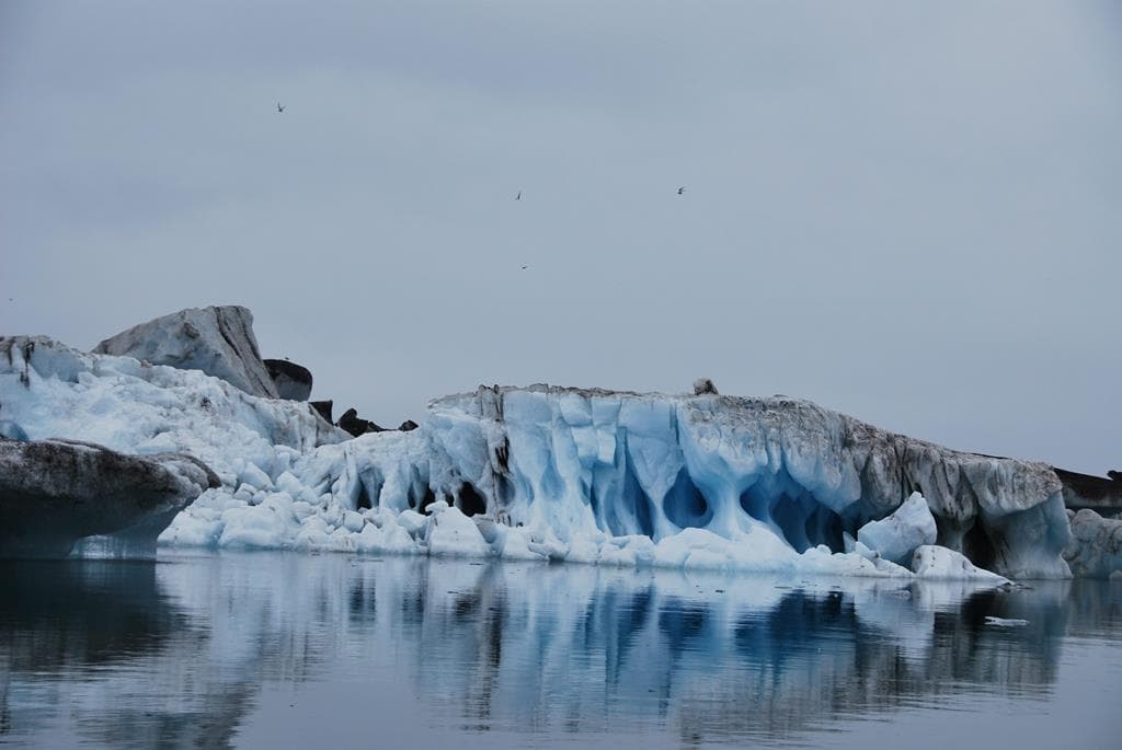 8 daagse fly drive Rondje IJsland 3