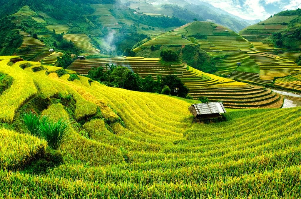 Startpakket Indonesië Bali 2