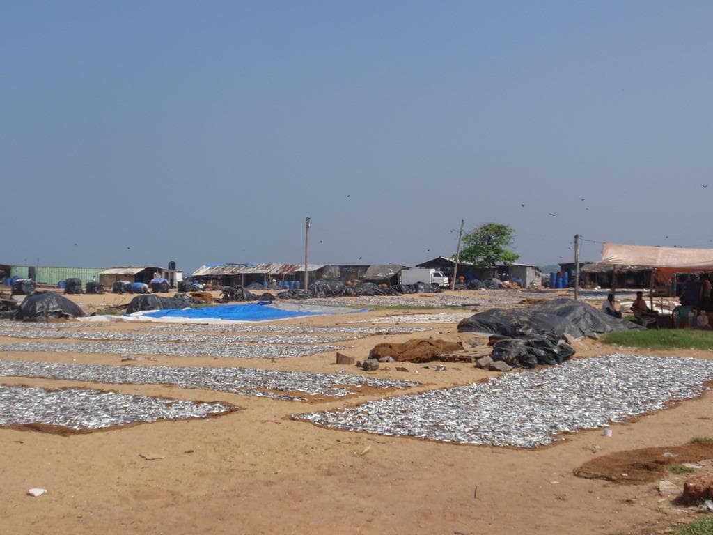 10 daagse fly drive Sri Lanka in Vogelvlucht 3