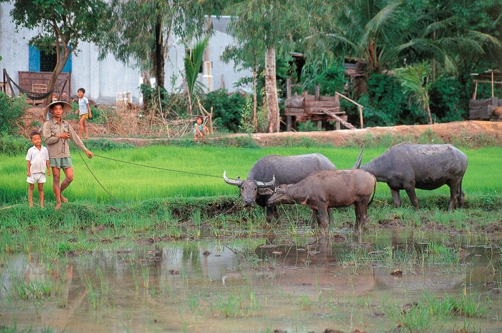 17-daagse rondreis Highlights van Vietnam 3