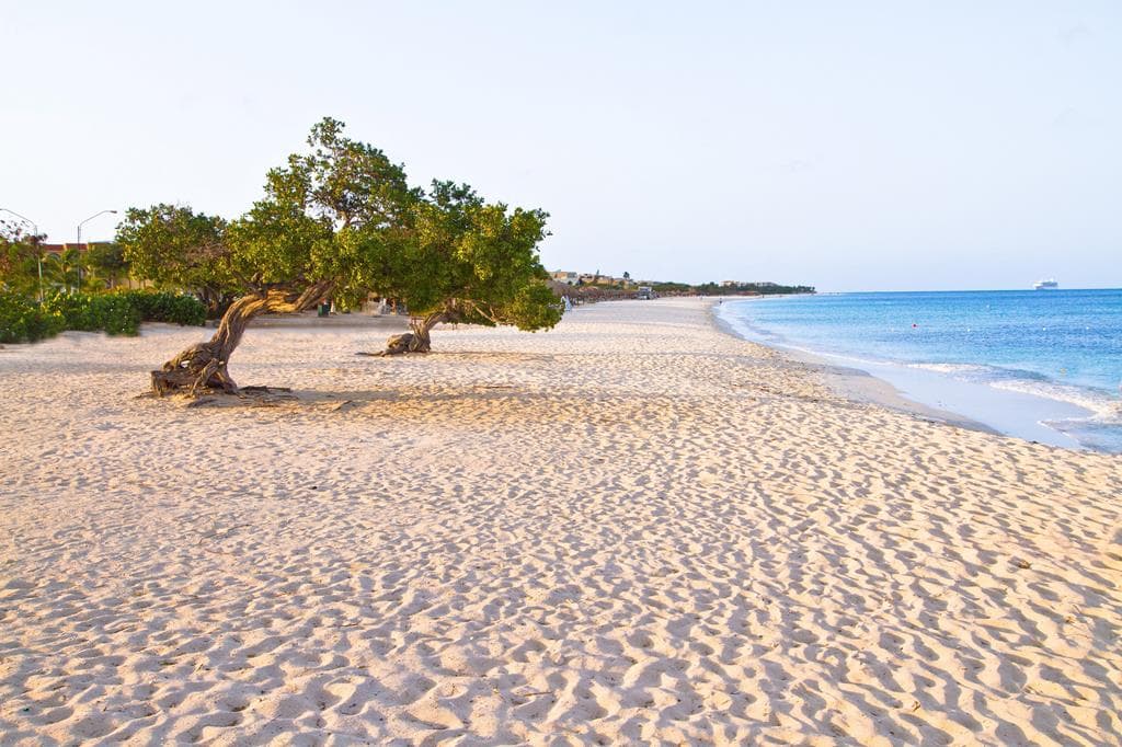 Amsterdam Manor Beach Resort 4