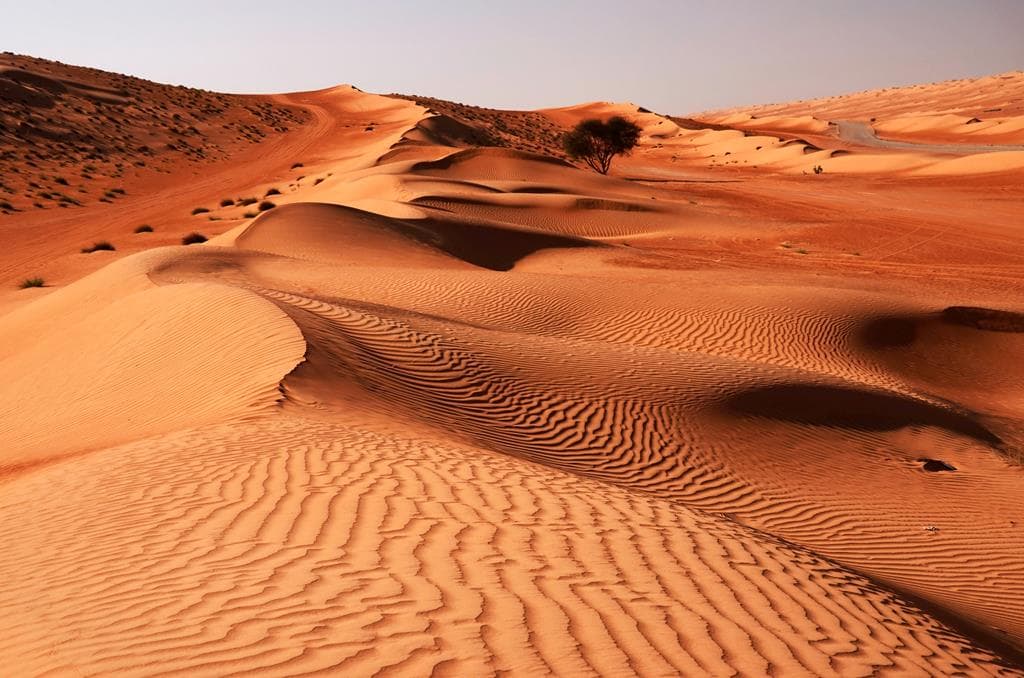 13-daagse rondreis Oman & Dubai 2