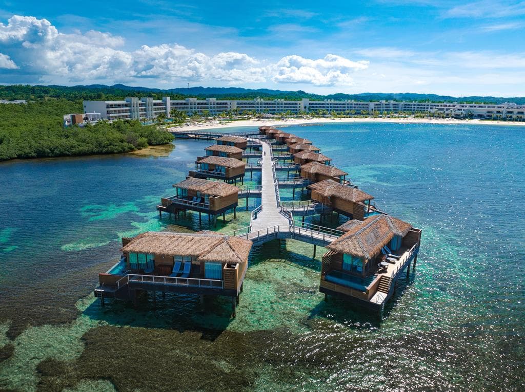 Princess Senses The Mangrove