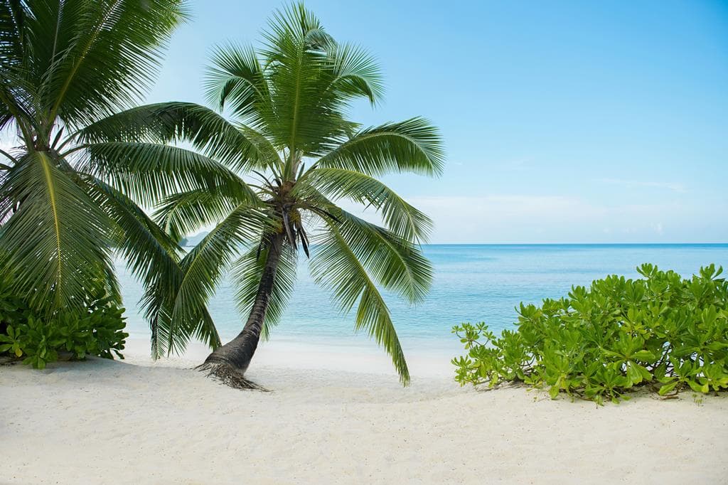 AVANI Barbarons Seychelles Resort 3