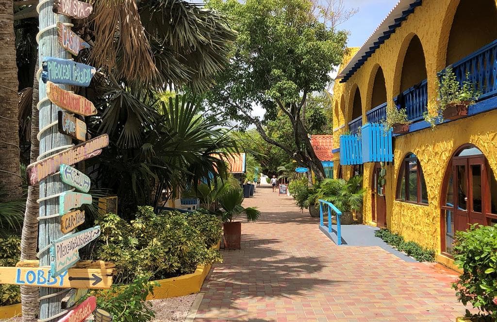 Divi Flamingo Beach Resort 2