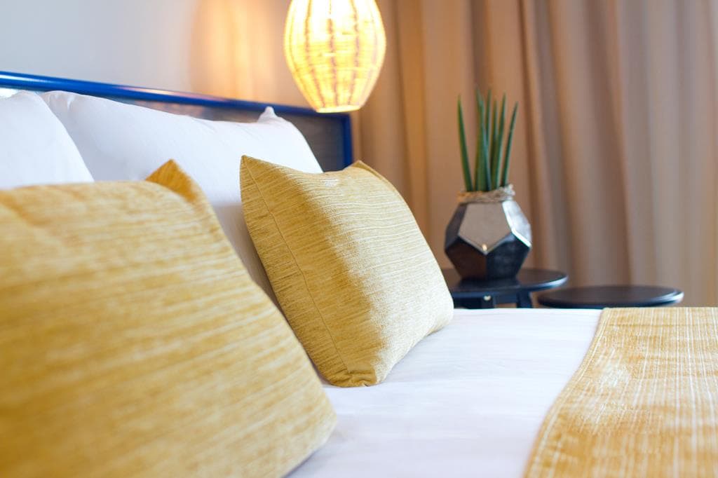 Alegria Fenals Mar 1