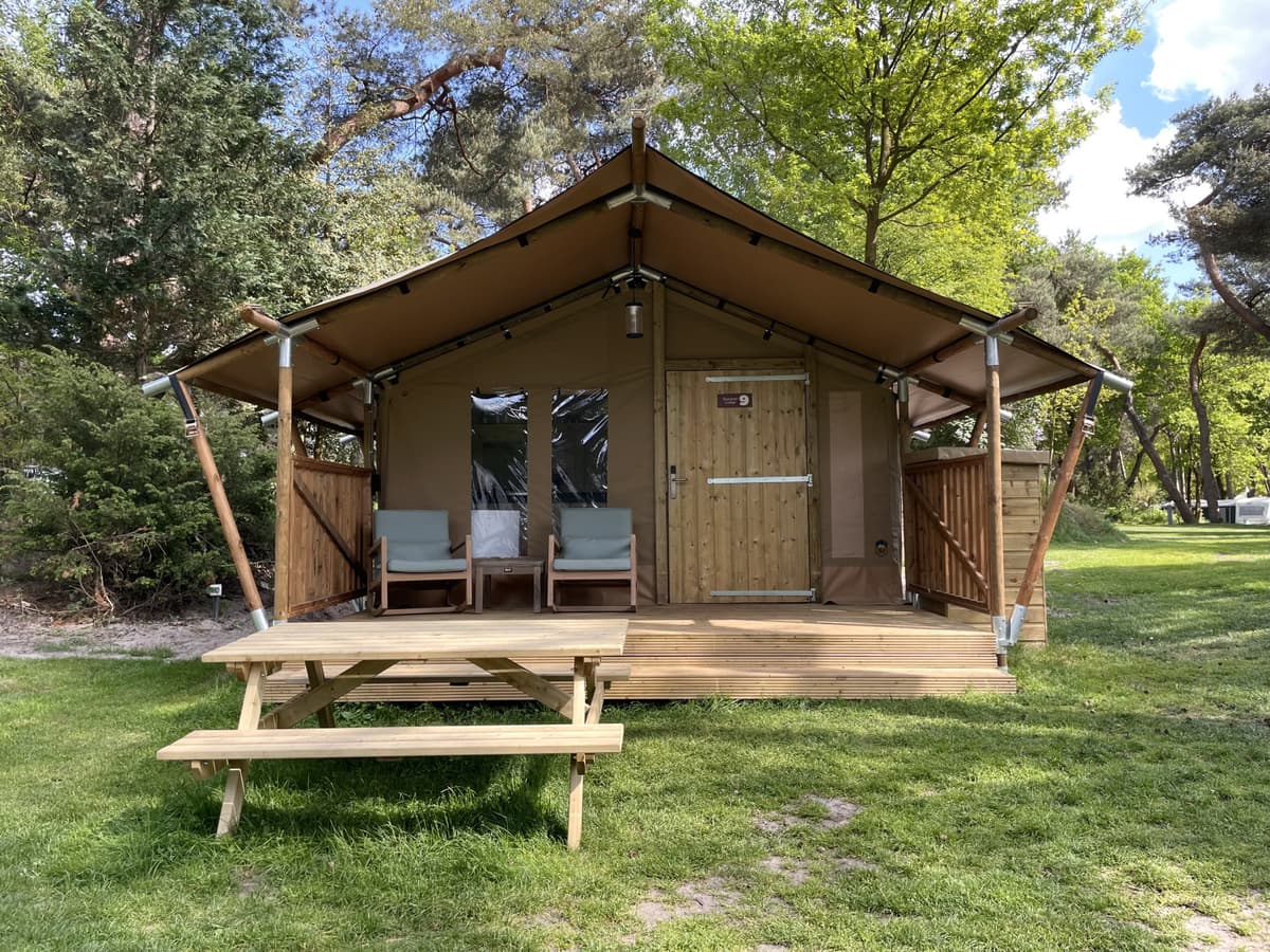 Summer Lodge