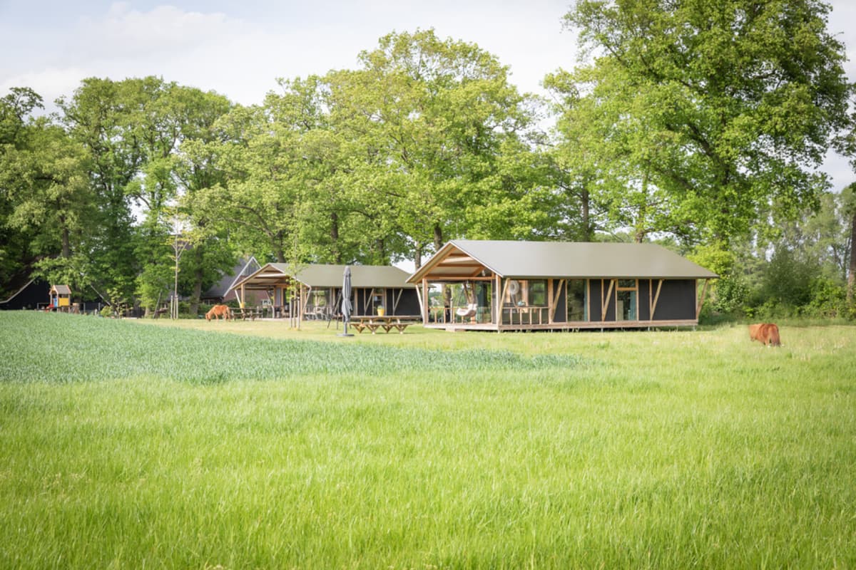 Luxe lodge