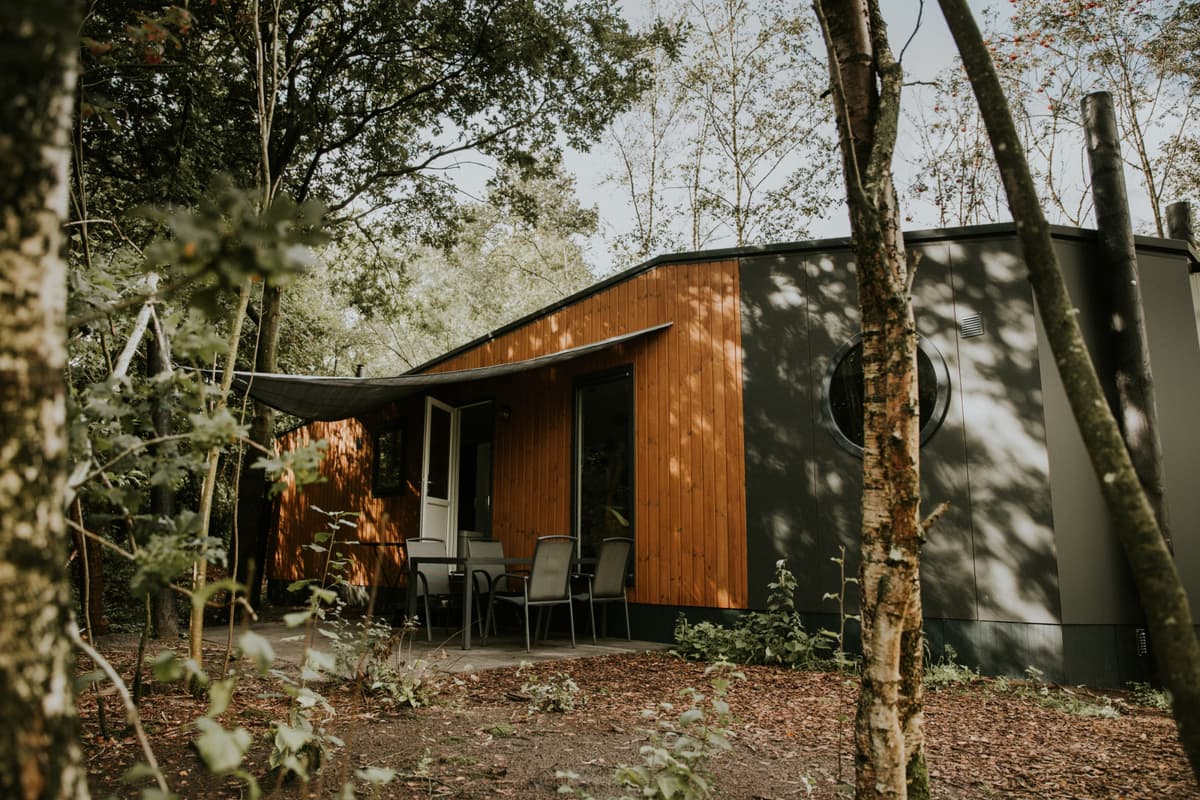 Happy bee lodge