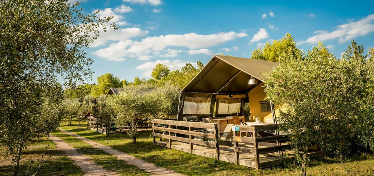 Safari Lodge
