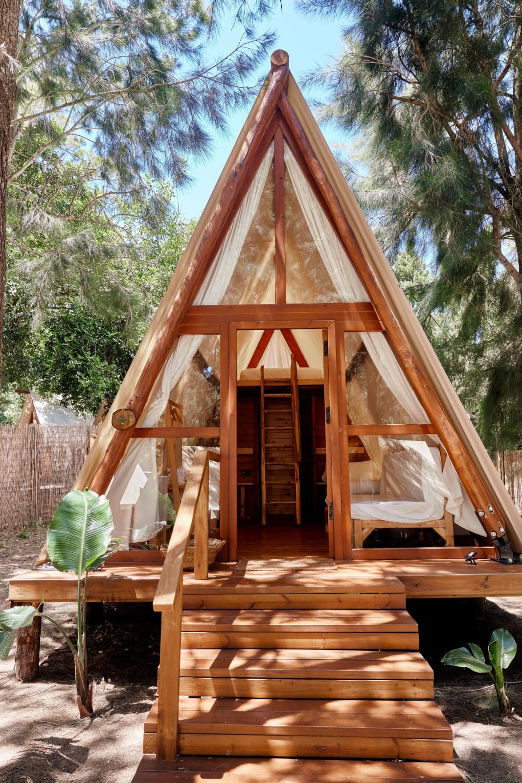 Sauceda Tent