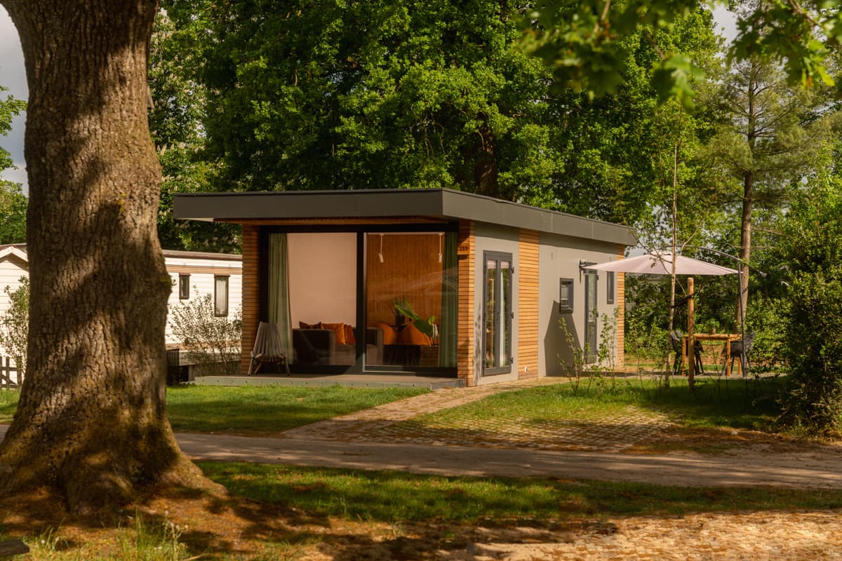 Tiny Cabin