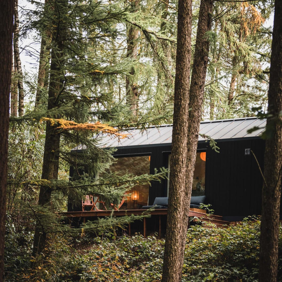 Koya Tiny Cabin