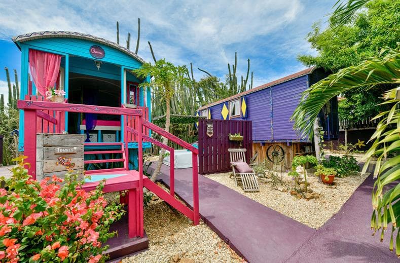 Ultiem genieten in Santa Cruz: 9 dagen Mammaloes voor €1050