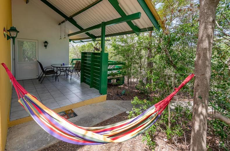 Dream of the Green Flamingo 4