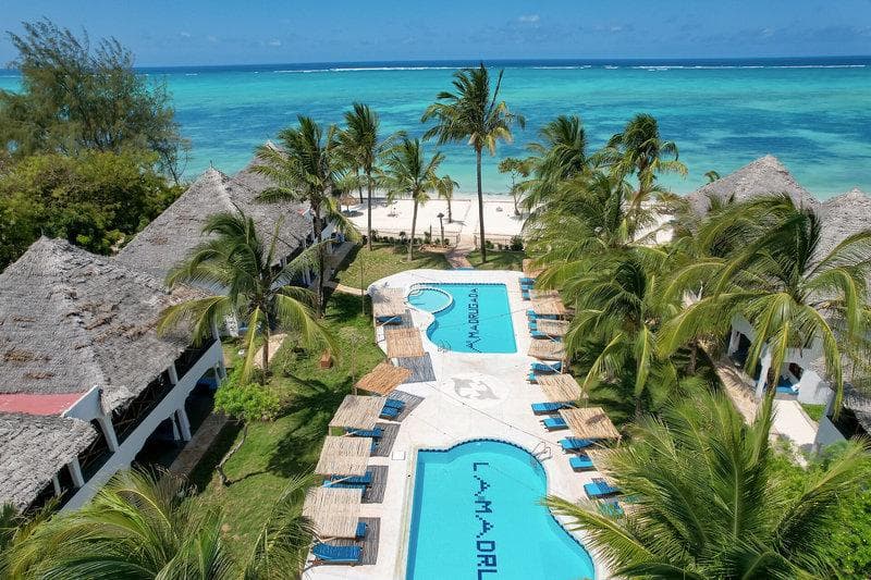 Nest Style Zanzibar 2