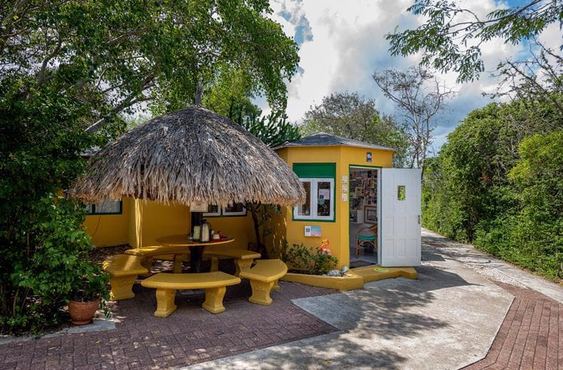 Dream of the Green Flamingo 3