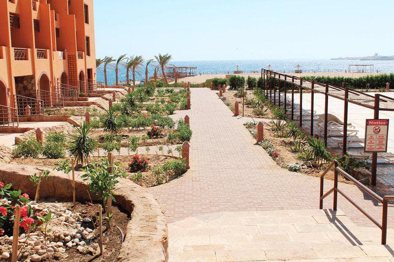 Viva Blue en Diving 4