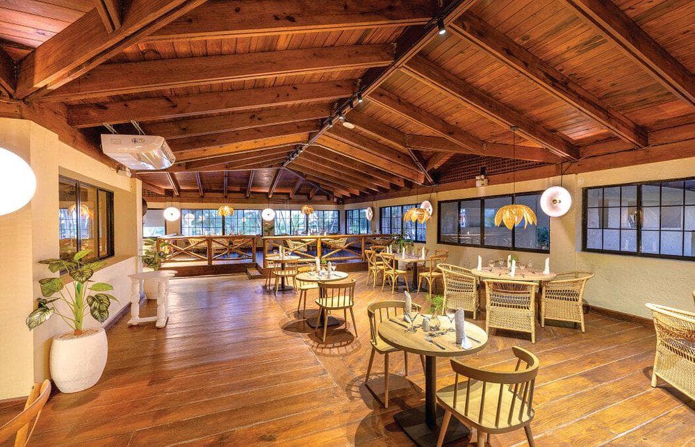 Coral Costa Caribe 1