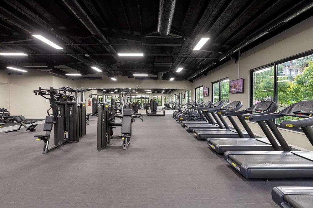 Dobedan World Palace Kemer 1