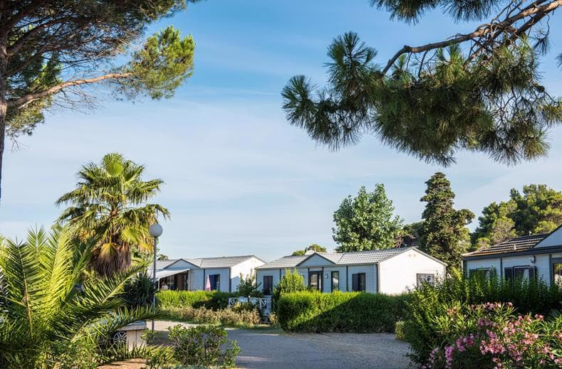 Domaine Les Muriers 3