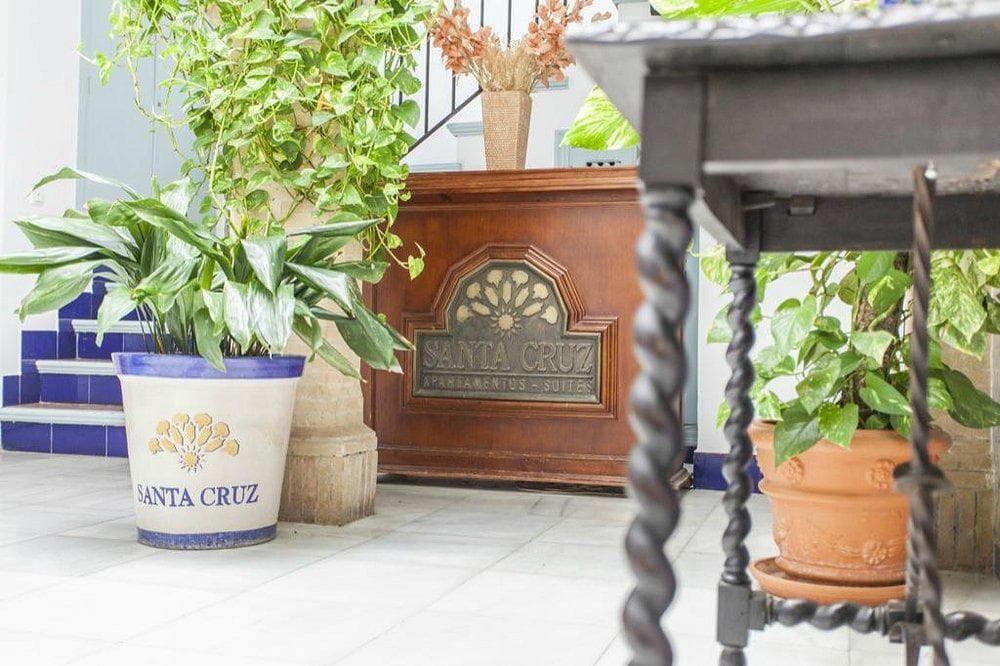 Suites Santa Cruz 3