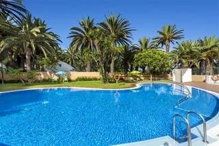 Sol Puerto de la Cruz Tenerife 3