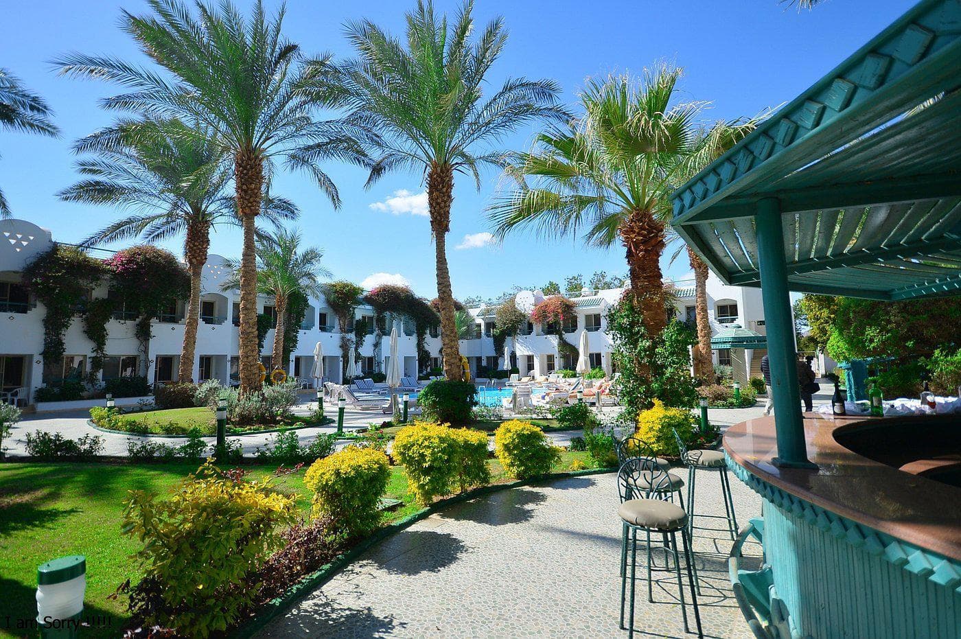 Bizar laag: 8 dagen Sharm El Sheikh bij Falcon Hills voor slechts €331